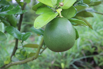 һ��������д