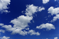 ������Ʒ羰