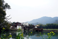 ��Ķ����