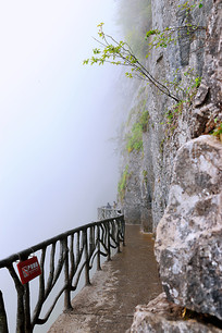 ���ɽ�ͱ��ߵ�