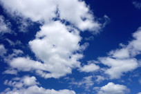 �̿հ��ƶ��