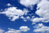 �̿��ƶ侰��