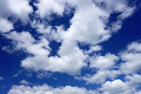 �̿�����