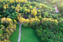 ���˰������С·ũ���ﾰ