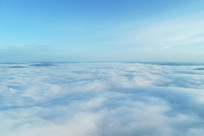 ���˰����ƶ��ƺ�