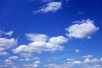 ���˰����ƾ�