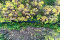 ���Ĵ���СϪ�ﾰ 