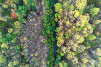 ���Ĵ��˰����������������