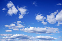 ������Ʒ��