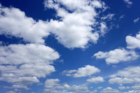 ������Ʒ羰