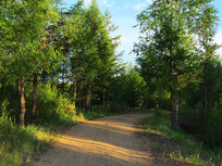 ���˰����ּ�С·