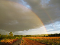 ���˰���ԭҰ����С·