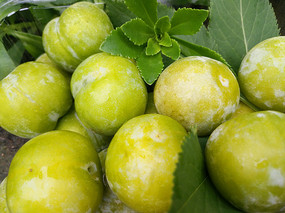 ˮ��������