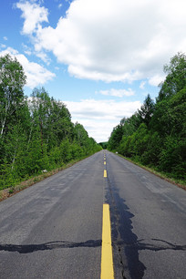 ͨ��ɽ���ɭ�ֹ�·