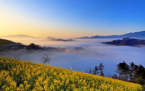 ��ɽ�ճ�ʱ���Ͳ˻���