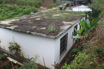 ũ����һ�׷���