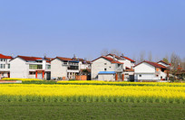 ����Ͳ˻���