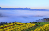 ����ƺ��Ͳ˻�