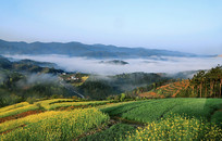 �غ��Ͳ����