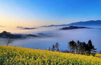 ��ɽ�����е��Ͳ˻�