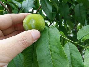 ժ�����ӹ�