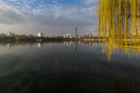 �������ĵĴ�����