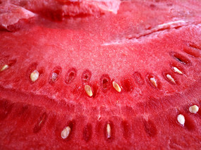 ɳȿ������