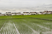 ���غ�г��԰