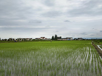 ������԰��Ұ����