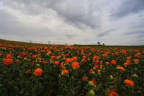 �غ컨����