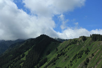 �½�����ɽ��