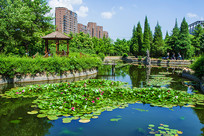 ���ذ�����ͤ