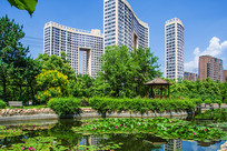 ���ذ�����ͤ�͸߲㽨��