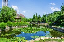 ���ذ�����ͤ����