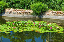 �ɻ�����