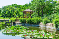 ����������ͤ