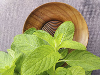 ��Ҷ����