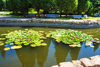 ˮ�����źɻ�