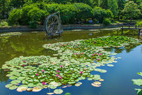 Ư������Ҷ