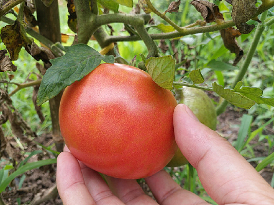 �������˵�