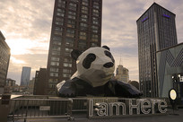 �ɰ�����