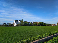 ��Ұ����