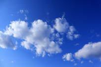 �̿հ��Ʒ��