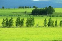 ���ױ�������ũ����