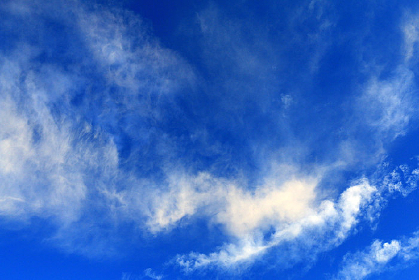 �����Ʋʾ���