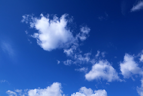 �����ƾ�