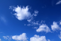 �����ƾ�