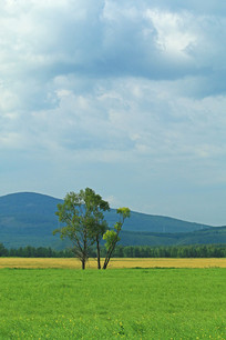 ��ɫԭҰ���ַ羰