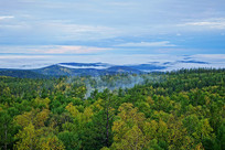 ɽ���ֺ�����