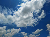 �������Ʋ�